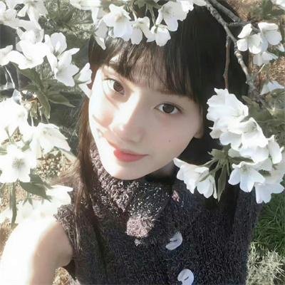 七种性格的猴子